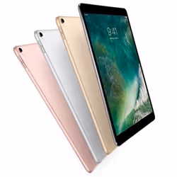 Apple iPad Pro 256 Go 26,7 cm (10.5") iOS 10 Gris - Vue supplémentaire 3